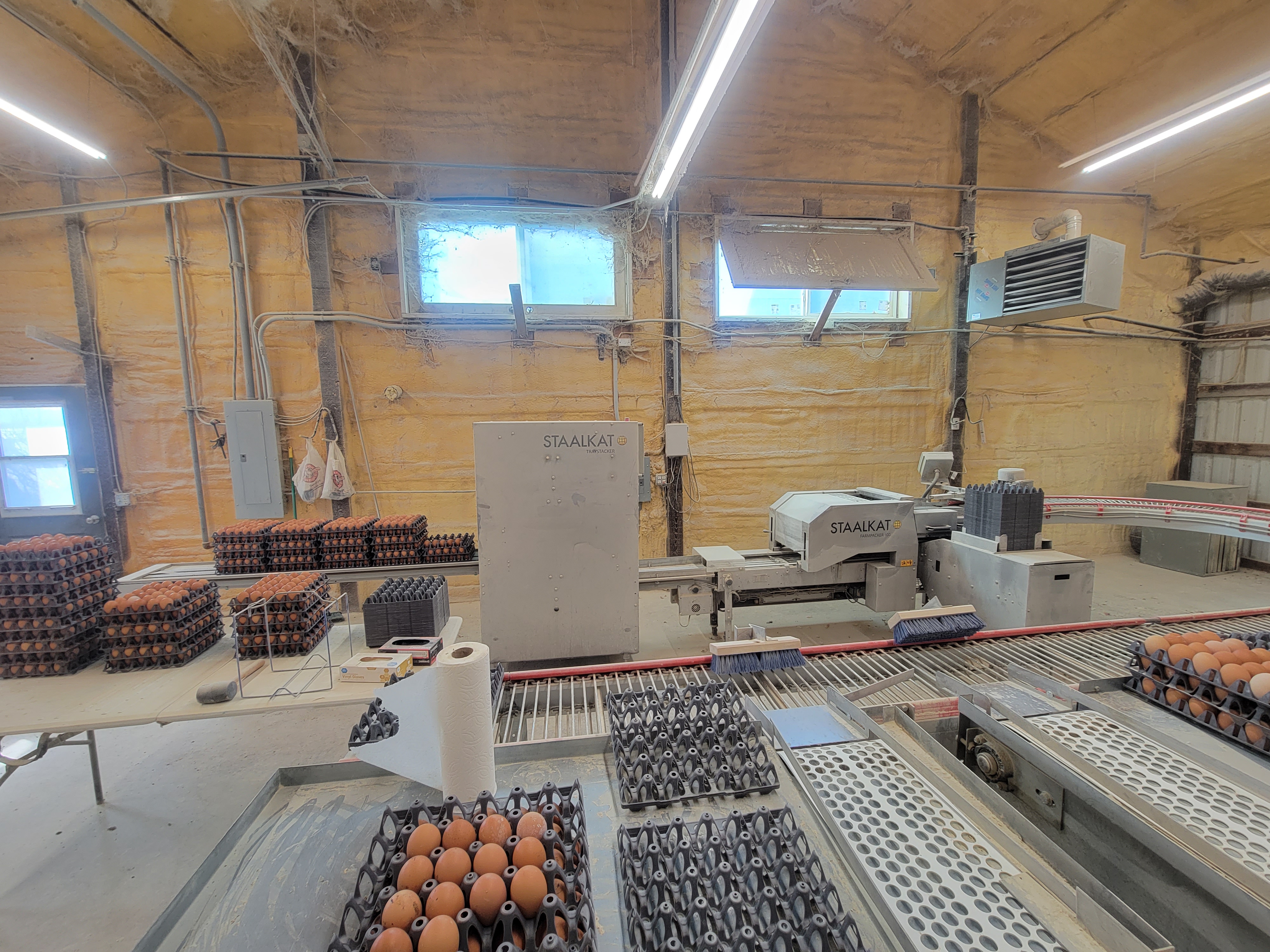 Sanovo Staalkat 100 cph Farmpacker and Stacker